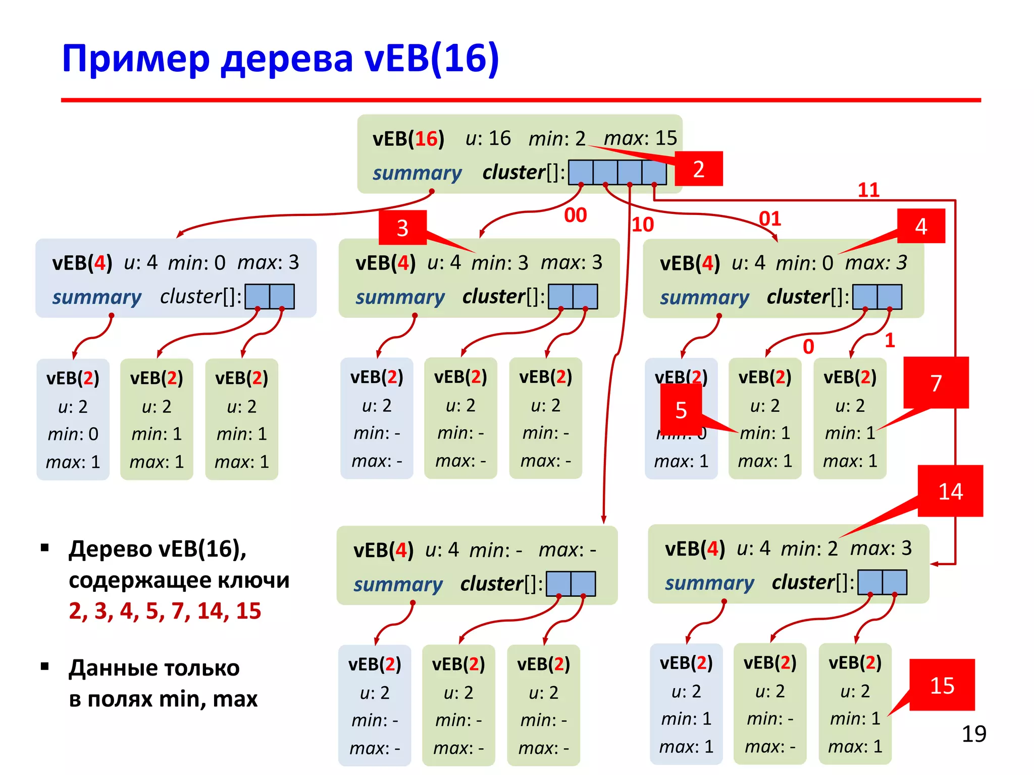 Пример дерева vEB(16) 
19 
vEB(16) 
u: 16 
min: 2 
max: 15 
summary 
cluster[]: 
vEB(4) 
u: 4 
min: 0 
max: 3 
summary 
cluster[]: 
vEB(4) 
u: 4 
min: 3 
max: 3 
summary 
cluster[]: 
vEB(2) 
u: 2 
min: - 
max: - 
vEB(2) 
u: 2 
min: - 
max: - 
vEB(2) 
u: 2 
min: - 
max: - 
vEB(2) 
u: 2 
min: 0 
max: 1 
vEB(2) 
u: 2 
min: 1 
max: 1 
vEB(2) 
u: 2 
min: 1 
max: 1 
vEB(4) 
u: 4 
min: 2 
max: 3 
summary 
cluster[]: 
vEB(2) 
u: 2 
min: 1 
max: 1 
vEB(2) 
u: 2 
min: - 
max: - 
vEB(2) 
u: 2 
min: 1 
max: 1 
vEB(4) 
u: 4 
min: - 
max: - 
summary 
cluster[]: 
vEB(2) 
u: 2 
min: - 
max: - 
vEB(2) 
u: 2 
min: - 
max: - 
vEB(2) 
u: 2 
min: - 
max: - 
vEB(4) 
u: 4 
min: 0 
max: 3 
summary 
cluster[]: 
vEB(2) 
u: 2 
min: 0 
max: 1 
vEB(2) 
u: 2 
min: 1 
max: 1 
vEB(2) 
u: 2 
min: 1 
max: 1 
15 
2 
7 
5 
11 
01 
00 
10 
1 
0 
3 
4 
14 
Дерево vEB(16), содержащее ключи 2, 3, 4, 5, 7, 14, 15 
Данные только в полях min, max  