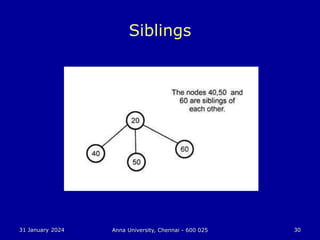 31 January 2024 Anna University, Chennai - 600 025 30
Siblings
 