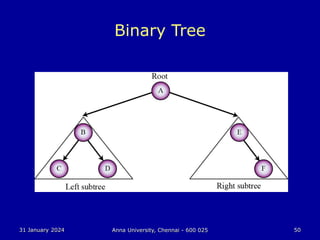 31 January 2024 Anna University, Chennai - 600 025 50
Binary Tree
 