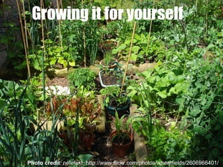 Growing it for yourself Photo credit : netefekt, http://www.flickr.com/photos/wheatfields/2606966401/ 