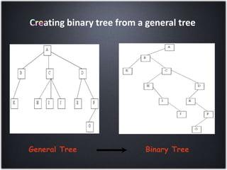 Non Linear Data Structures | PPT