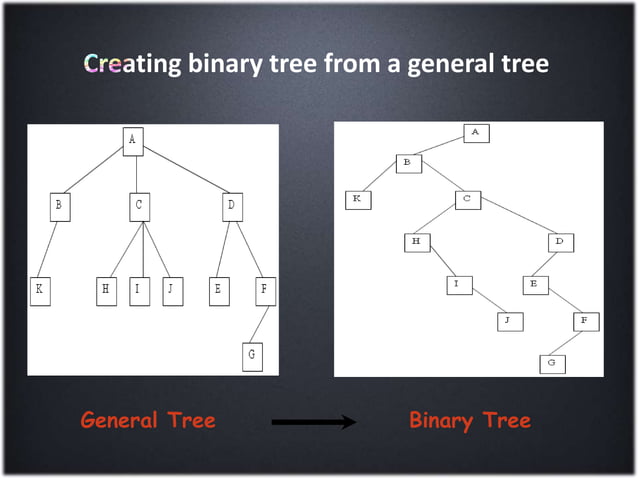 Non Linear Data Structures