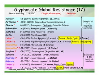 Glyphosate Global Resistance (17)
    Weedscience.org, 2/25/2010         * Target site mutant,    † Exclusion



Plantago        C3-(2003), Buckhorn plantain (S. Africa)
Parthenium *    C3/C4-(2004), Ragweed parthenium (Columbia )                       Examples of
                                                                                       1-3X
Eleucine *      C4-(1997), Goosegrass (Malaysia, Columbia,Taiwan)                   magnitude
Echinochloa    C4-(2007), Barnyard grass (Australia)                                resistance

Euphorbia       C4-(2006), Wild Poinsettia (Brasil)
Kochia          C4-(2007), Tumbleweed (KS)
Lolium *        C3-(2001), Italian Ryegrass (S. America, France , Italy, Spain, 6 States)
Lolium * †      C3-(1996), Rigid Ryegrass (Aus.,4 prov., CA, S. Africa, France, Italy,Spain)
Amaranthus      C4-(2005), Waterhemp (5 States)
Amaranthus* † C4-(2005), Palmer pigweed (10 States)
Sorghum †       C4-(2005), Johnsongrass (Argentina, MS, AR)
Digitaria       C4-(2008), Sourgrass (Brazil, Paraguay)                               Examples of
                                                                                         6-8X
Ambrosia †      C3-(2004), Giant ragweed (6 States)
                                                                                       magnitude
Ambrosia        C3-(2004), Common ragweed (6 States)                                   resistance
Conyza †        C3-(2000), Horseweed (17 states, Brasil, China, Spain)
Conyza          C3-(2003), Hairy fleabane (S. Africa, Spain, Brasil, Columbia, CA))
   Urochloa panicoides C4-(2008), Liverseedgrass (Aust- NSW)
 