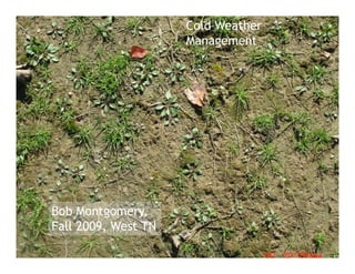 Cold Weather
                          Management
                            Horseweed control appears to be
                            100 % for first 3 application dates.
                            This is the Jan application.
                            Applied another on 2/28/2010
  Jan close
  up



4 Fall applications to   Feb Jan             Dec             Nov
horseweed

  Bob Montgomery,
  Fall 2009, West TN
 