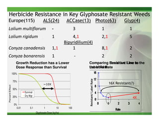 Herbicide Resistance in Key Glyphosate Resistant Weeds
Europe(115)                                  ALS(24)             ACCase(13) Photo(63)                               Glyp(4)
Lolium multiflorum                                    -                 3                            1                  1
Lolium rigidum                                        1             4,1                              2,1                5
                                                                Bipyridilium(4)
Conyza canadensis                                     1,1           1                                8,1                2
Conyza bonarensis                                     1                 -                            2                  2
                    Growth Reduction has a Lower                             Comparing Sensitive Line to the
                                                                                         Resistant Line to
                    Dose Response than Survival                              the label Rate
                                                                             Label Rate
                 100%




                                                                             Resistant/ Label Rate
                 75%
                                             ~10X                                                          16X Resistant(?)
Percent Effect




                 50%
                           Survival
                 25%       Dry Wgt
                                                                                                                            4X
                  0%
                    0.01        0.1           1           10      100
                                                                                                                                 3
                                      Glyphosate Dose (kg/ha)
 