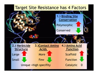 Target Site Resistance has 4 Factors
                                        1.) Binding Site
                                          Conservation
                                        Polymorphic
                                        Conserved




  2.) Herbicide          3.)Contact Amino 4.) Amino Acid
    Structure               Acids             Function
  Large                     More              Scaffold
  Small                     Few               Function

MONSANTO
               Unique =high specifity         Catalytic    0
CONFIDENTIAL
 
