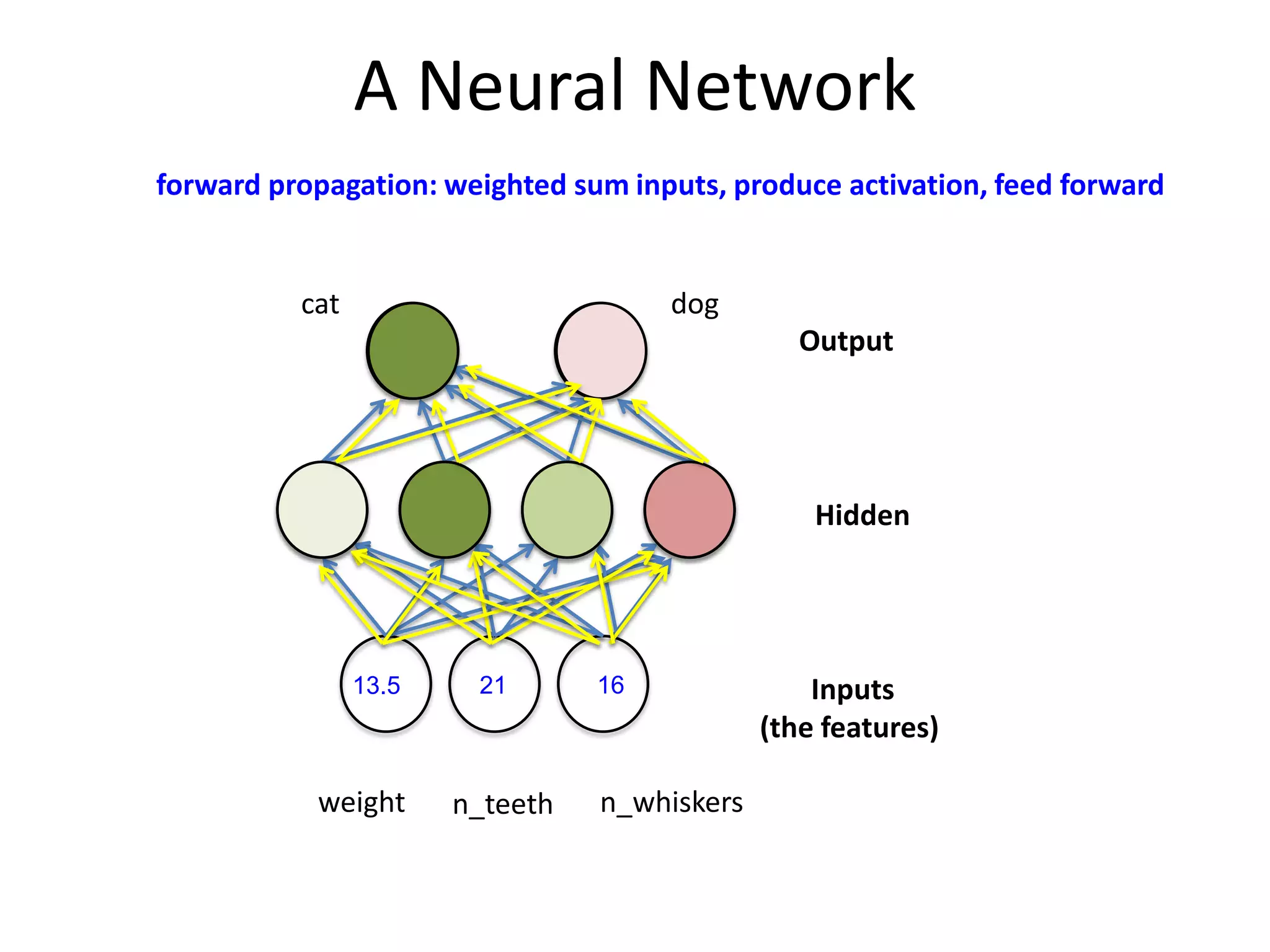 A Neural Network
forward propagation: weighted sum inputs, produce activation, feed forward

cat

dog

Output

Hidden

13.5

weight

21

n_teeth

16

n_whiskers

Inputs
(the features)

 