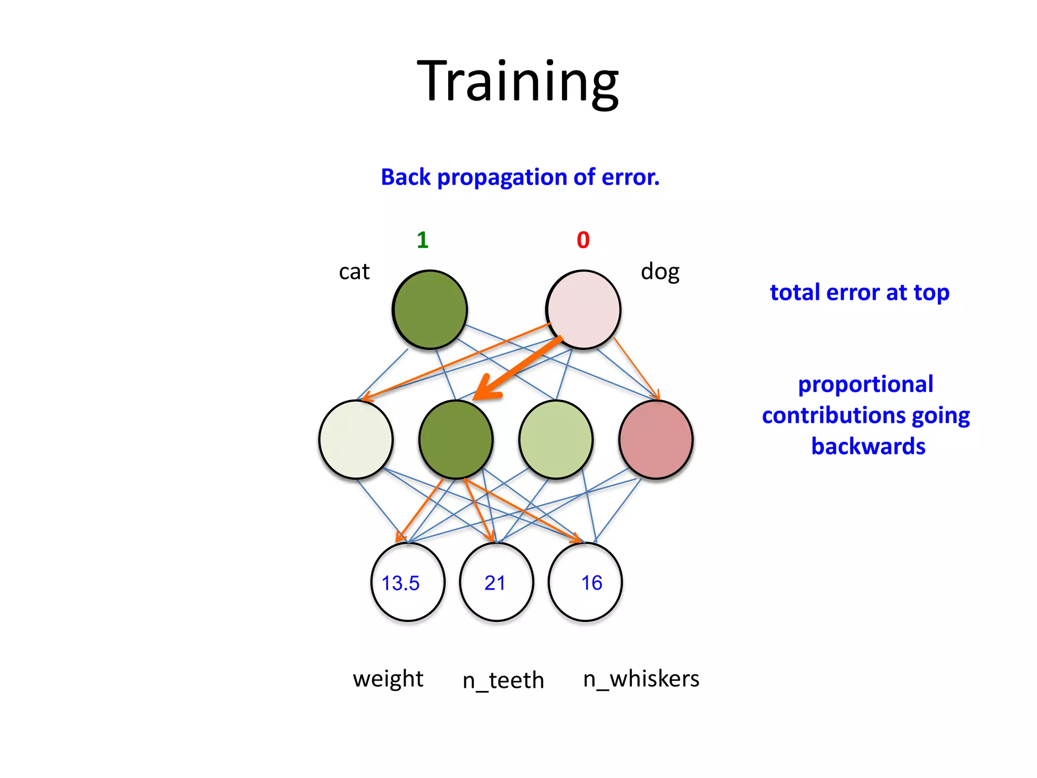 Training
Back propagation of error.

1

0

cat

dog

total error at top

proportional
contributions going
backwards

13.5

weight

21

n_teeth

16

n_whiskers

 