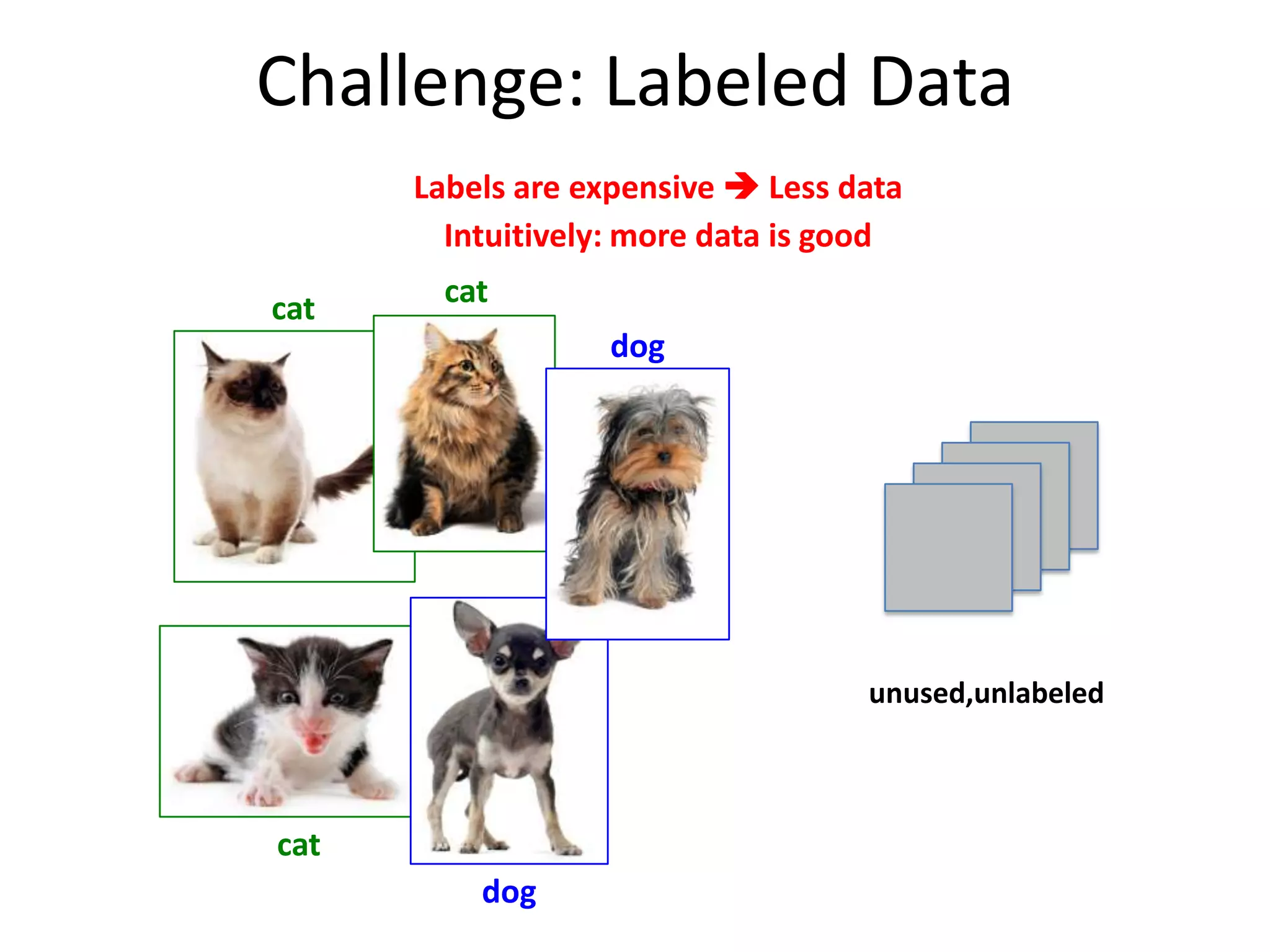 Challenge: Labeled Data
Labels are expensive  Less data
Intuitively: more data is good
cat

cat
dog

unused,unlabeled

cat
dog

 