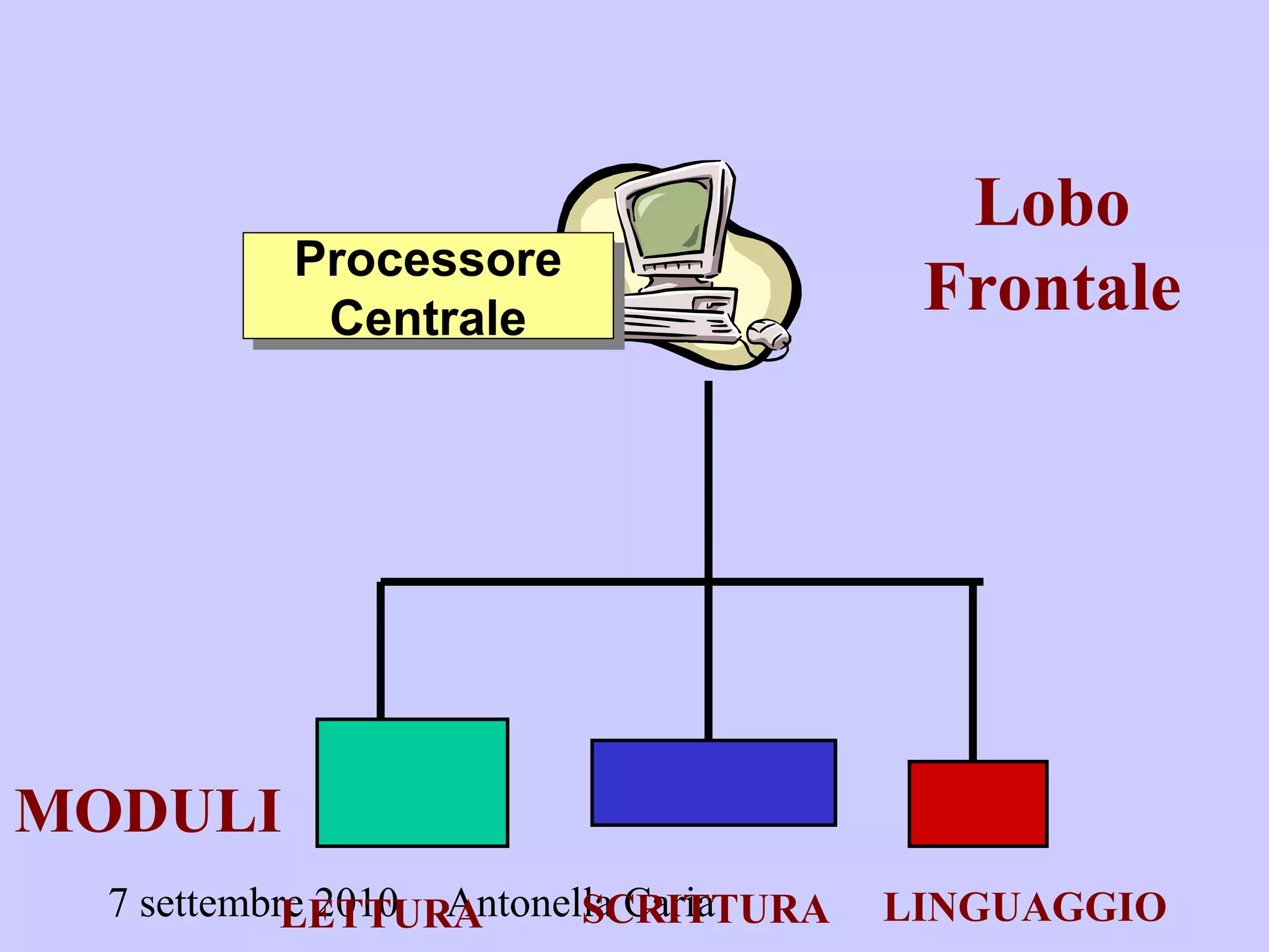 7 settembre 2010 Antonella Caria
Processore
Centrale
Processore
Centrale
MODULI
LETTURA LINGUAGGIOSCRITTURA
Lobo
Frontale
 