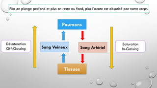 Poumons
Tissues
Sang ArtérielSang Veineux
Désaturation
Off-Gassing
Saturation
In-Gassing
Plus on plonge profond et plus on reste au fond, plus l’azote est absorbé par notre corps
 