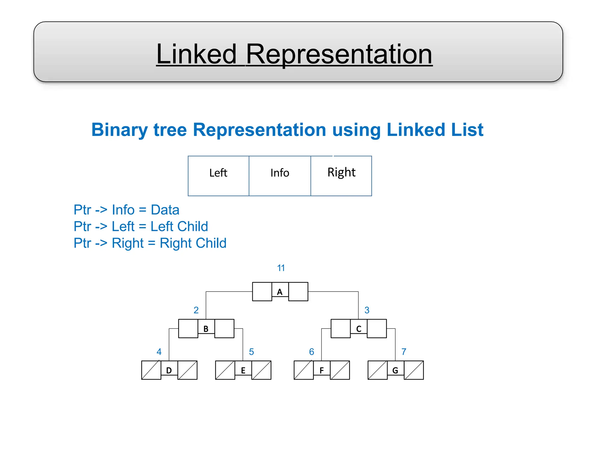 Linked Representation
Ptr -> Info = Data
Ptr -> Left = Left Child
Ptr -> Right = Right Child
A
B C
11
3
2
D E
5
4
F G
7
6
Left Info Right
Binary tree Representation using Linked List
y
 