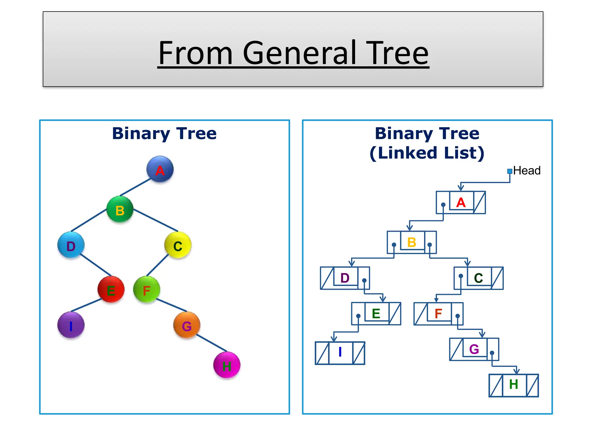 From General Tree
Binary Tree
(Linked List)
A
B
D
E F
C
I G
H
Head
Binary Tree
A
B
H
C
D
E F
G
I
 