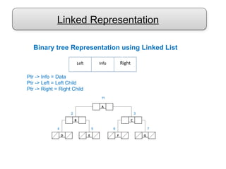 Linked Representation
Ptr -> Info = Data
Ptr -> Left = Left Child
Ptr -> Right = Right Child
A
B C
11
3
2
D E
5
4
F G
7
6
Left Info Right
Binary tree Representation using Linked List
y
 