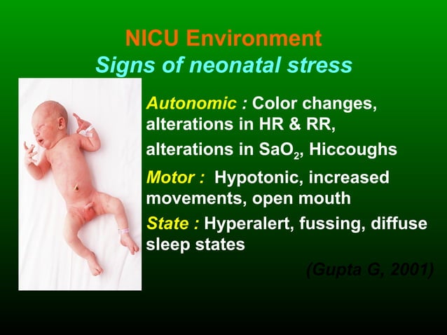Developmentally supportive neonatal care | PPT