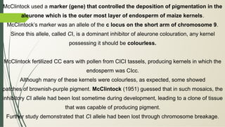 Genetics & Model Organisms (Theory).pdf