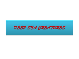 DEEP SEA CREATURES
 