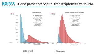 [DSC Europe 24] Vladimir Kovacevic - AI Algorithms in Spatial ...