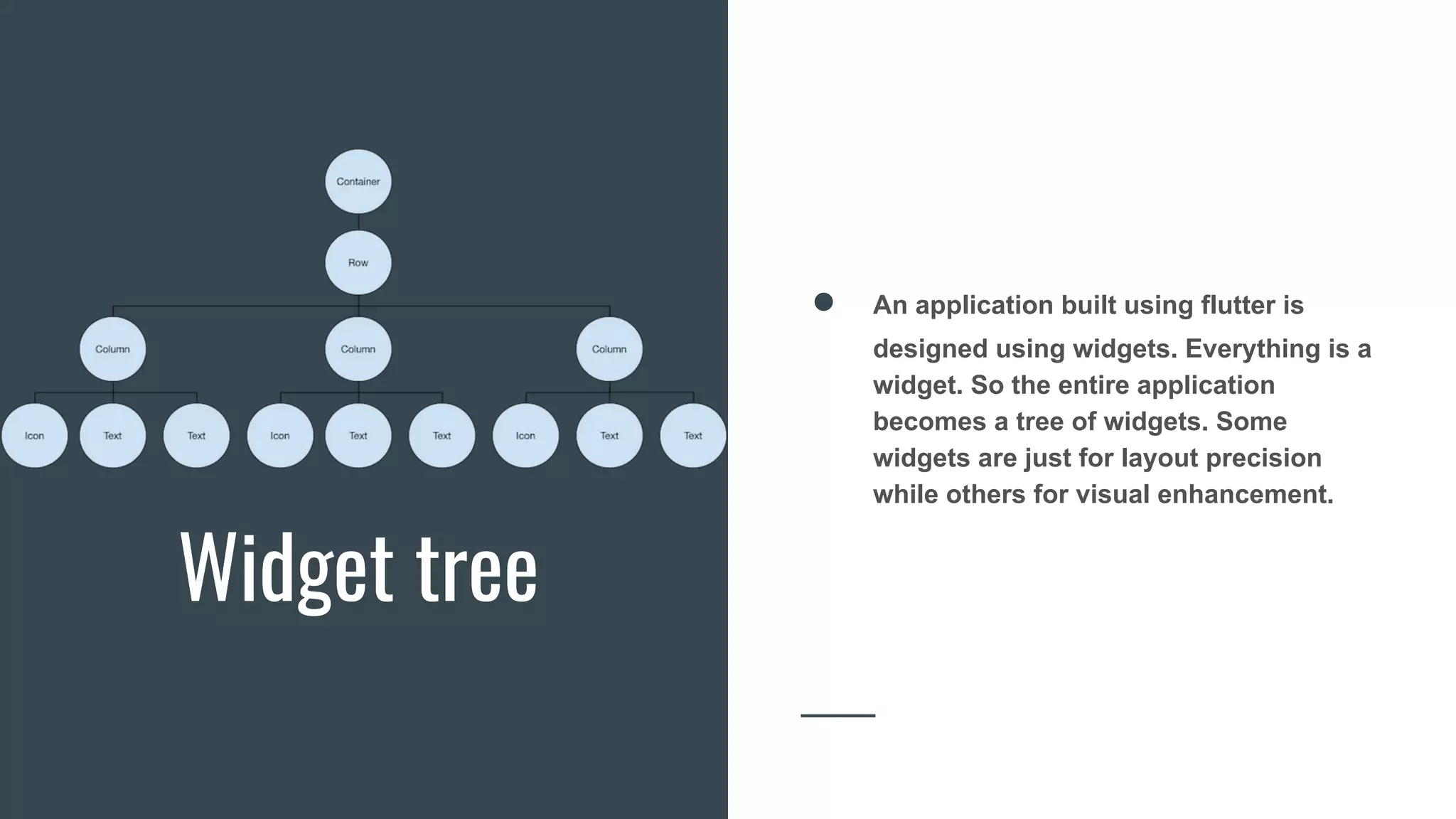 DSC IIITL Flutter Workshop