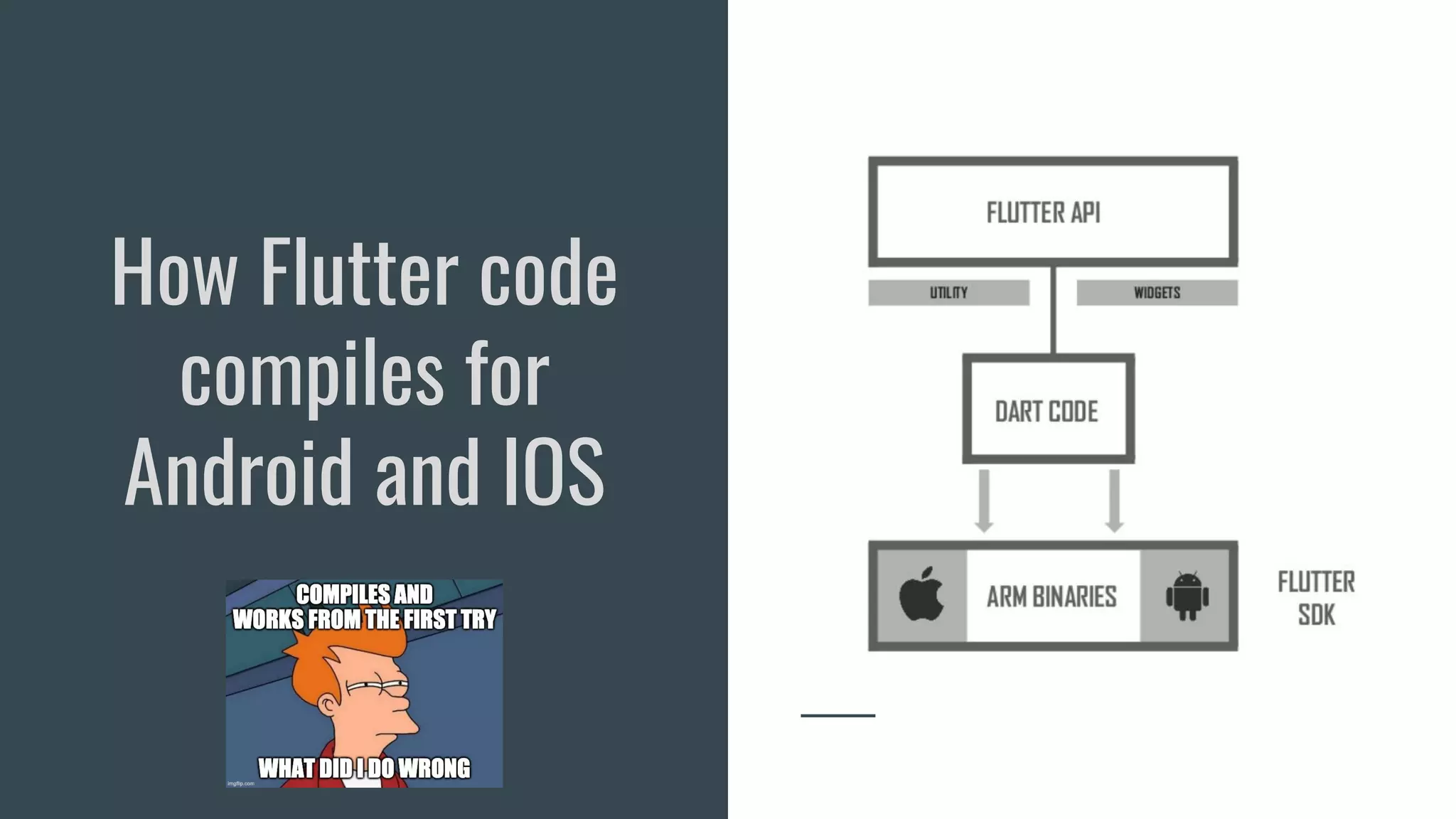 DSC IIITL Flutter Workshop