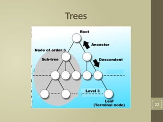 Trees
23
 