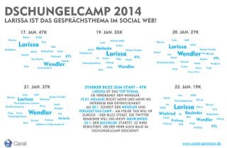 Infografik zur ersten RTL Dschungelcampwoche 2014 als Wortwolke