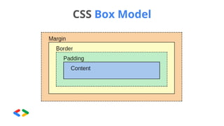 CSS Box Model
 