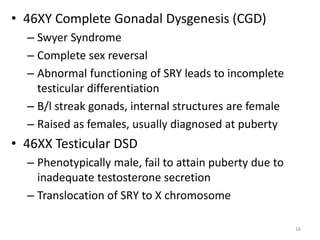 • 46XY Complete Gonadal Dysgenesis (CGD)
– Swyer Syndrome
– Complete sex reversal
– Abnormal functioning of SRY leads to incomplete
testicular differentiation
– B/l streak gonads, internal structures are female
– Raised as females, usually diagnosed at puberty
• 46XX Testicular DSD
– Phenotypically male, fail to attain puberty due to
inadequate testosterone secretion
– Translocation of SRY to X chromosome
16
 