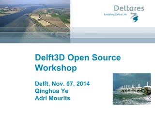 Delft3D Open Source Workshop Delft, Nov. 07, 2014 Qinghua Ye Adri Mourits  