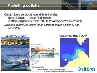 DSD-INT 2014 - Delft3D Users Meeting - Delft3D-FLOW and CORMIX near ...