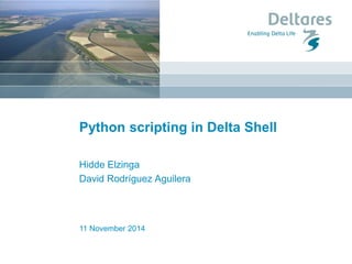 11 November 2014 
Python scripting in Delta Shell 
Hidde Elzinga David Rodríguez Aguilera  