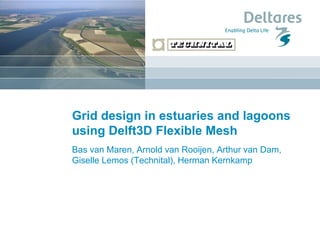 Grid design in estuaries and lagoons using Delft3D Flexible Mesh 
Bas van Maren, Arnold van Rooijen, Arthur van Dam, Giselle Lemos (Technital), Herman Kernkamp  