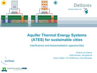 Aquifer Thermal Energy Systems
(ATES) for sustainable cities
interference and bioremediation opportunities
Pauline van Gaans
Wijb Sommer, Zhuobiao Ni
Johan Valstar, Tim Grotenhuis, Huub Rijnaarts
 