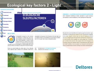Ecological key factors 2 - Light
30 november 2015
 