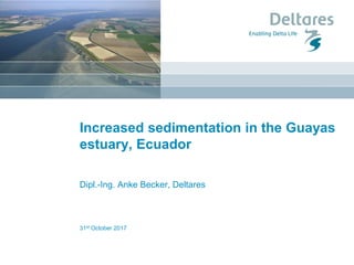 31st October 2017
Increased sedimentation in the Guayas
estuary, Ecuador
Dipl.-Ing. Anke Becker, Deltares
 