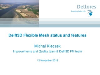 Delft3D Flexible Mesh status and features
Michal Kleczek
Improvements and Quality team & Delft3D FM team
12 November 2018
 