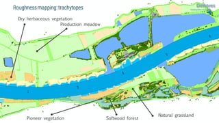 Natural grassland
Production meadow
Pioneer vegetation
Dry herbaceous vegetation
Softwood forest
Roughness mapping: trachytopes
 