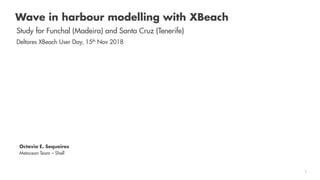 Shell RESTRICTED 1
Wave in harbour modelling with XBeach
Study for Funchal (Madeira) and Santa Cruz (Tenerife)
Deltares XBeach User Day, 15th Nov 2018
Octavio E. Sequeiros
Metocean Team – Shell
 