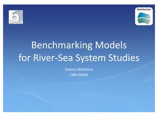 Benchmarking Models
for River-Sea System Studies
Debora Bellafiore
CNR-ISMAR
 