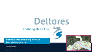 D a t a S c i e n c e S y m p o s i u m 2 0 1 9
Near real-time monitoring of Dutch
floodplain vegetation
Christine Rogers
 