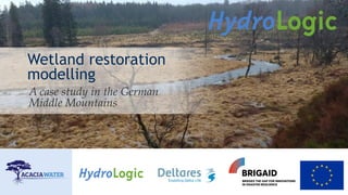 Wetland restoration
modelling
A case study in the German
Middle Mountains
 