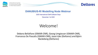DANUBIUS-RI Modelling Node Webinar
2020 International Delft Software Days
December 1st 2020
Welcome!
Debora Bellafiore (ISMAR-CNR), Georg Umgiesser (ISMAR-CNR),
Francesca De Pascalis (ISMAR-CNR), Joost Icke (Deltares) and Björn
Backeberg (Deltares)
 