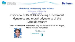 DANUBIUS-RI Modelling Node Webinar
2020 International Delft Software Days
December 1st 2020
Overview of Delft3D modeling o...