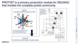 DSD-INT 2022 PROTIST - a new primary production module for D-Water ...