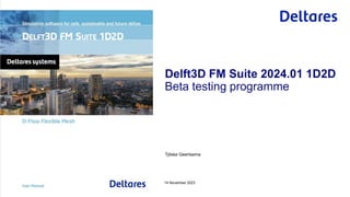 Tjitske Geertsema
14 November 2023
Delft3D FM Suite 2024.01 1D2D
Beta testing programme
 