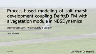 Process-based modeling of salt marsh
development coupling Delft3D FM with
a vegetation module in NBSDynamics
Sarah Dzimballa
Delft3D User Days –Water Quality & Ecology
16/11/2023
 