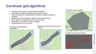 DSD-INT 2024 MeshKernel and Grid Editor - New mesh generation tools ...