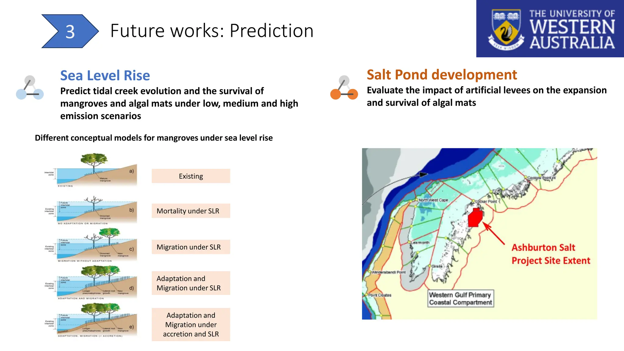 Future works: Prediction
3
Sea Level Rise
Predict tidal creek evolution and the survival of
mangroves and algal mats under low, medium and high
emission scenarios
Salt Pond development
Evaluate the impact of artificial levees on the expansion
and survival of algal mats
Different conceptual models for mangroves under sea level rise
Existing
Mortality under SLR
Migration under SLR
Adaptation and
Migration under SLR
Adaptation and
Migration under
accretion and SLR
 