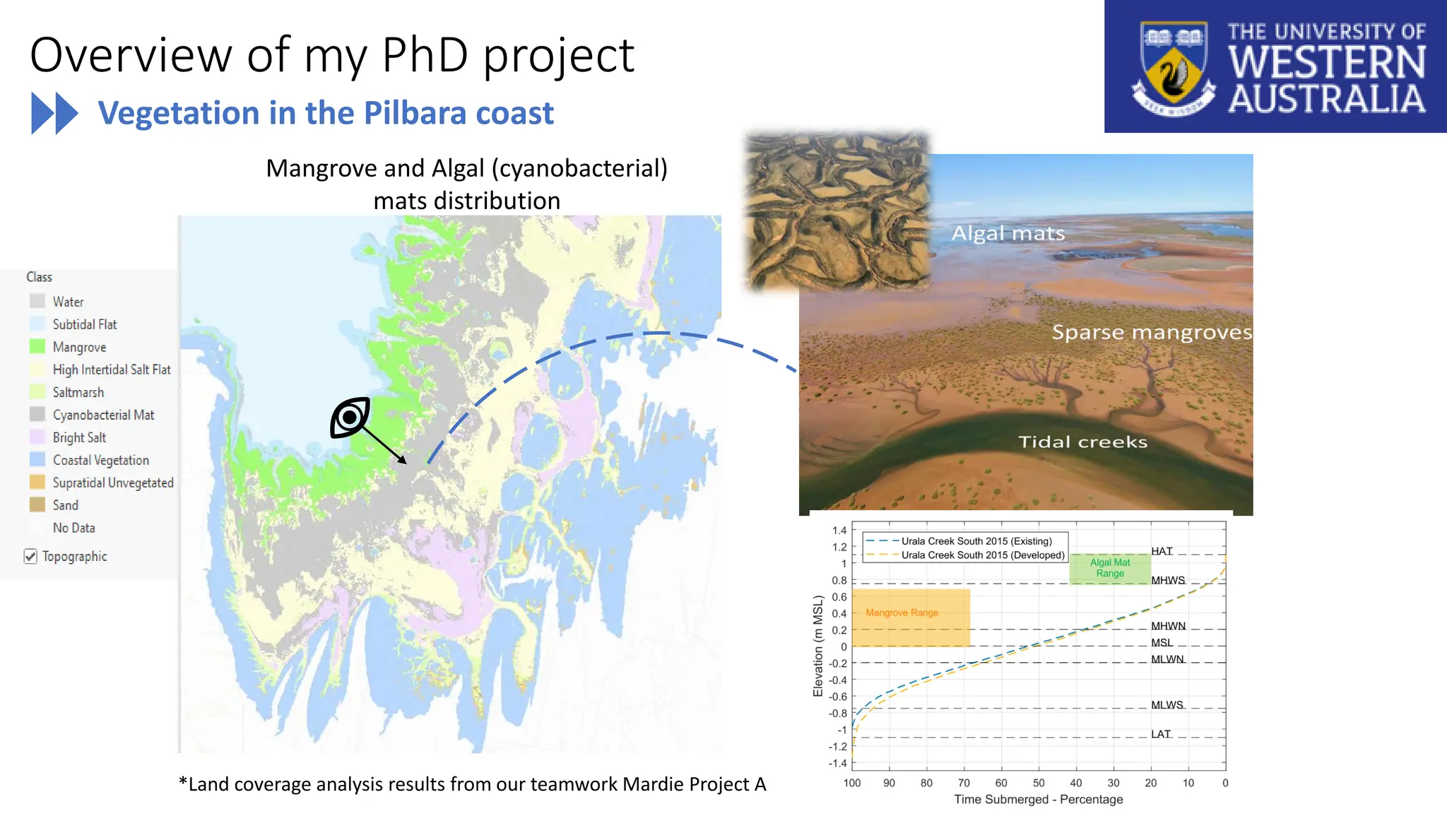 Overview of my PhD project
Vegetation in the Pilbara coast
Mangrove and Algal (cyanobacterial)
mats distribution
*Land coverage analysis results from our teamwork Mardie Project A
 