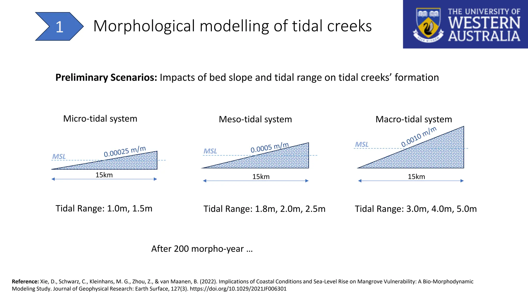 Preliminary Scenarios: Impacts of bed slope and tidal range on tidal creeks’ formation
15km
MSL
15km
MSL
15km
MSL
Micro-tidal system Meso-tidal system Macro-tidal system
Tidal Range: 1.0m, 1.5m Tidal Range: 1.8m, 2.0m, 2.5m Tidal Range: 3.0m, 4.0m, 5.0m
Reference: Xie, D., Schwarz, C., Kleinhans, M. G., Zhou, Z., & van Maanen, B. (2022). Implications of Coastal Conditions and Sea-Level Rise on Mangrove Vulnerability: A Bio-Morphodynamic
Modeling Study. Journal of Geophysical Research: Earth Surface, 127(3). https://doi.org/10.1029/2021JF006301
After 200 morpho-year …
Morphological modelling of tidal creeks
1
 